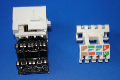 TM-8501 Cat.5E RJ45 UTP Data keystone jack TM-8501 Cat.5E RJ45 UTP Data keystone jack - Cat.6/Cat.5E RJ45 Network Keystone Jacks China manufacturer 